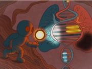  AI giúp xác định bộ gene gây ra các bệnh phức tạp
